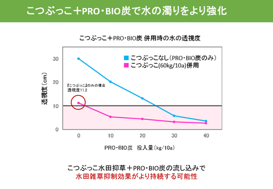 probio炭3